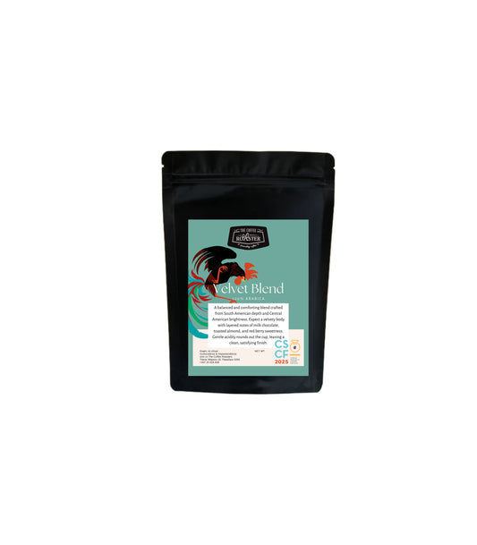 Velvet Blend – Specialty Arabica Coffee Beans 250gr | The Coffee Roaster